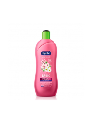 Shampoo