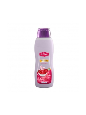 Shampoo