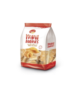 Budin