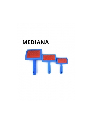 Cardina