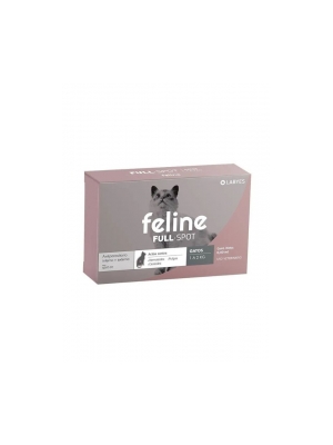 Feline