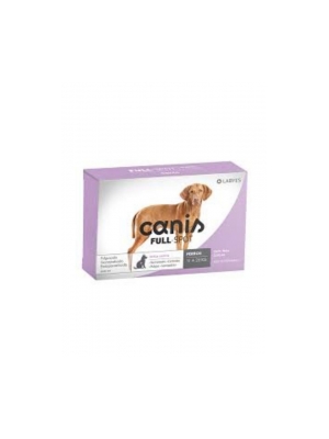 Canis