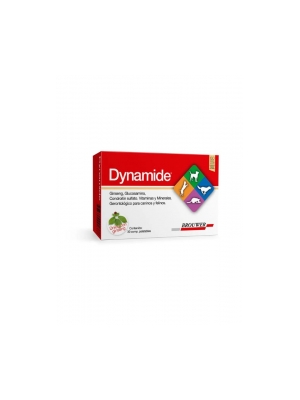 Dynamide