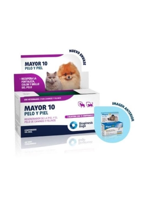 Mayor