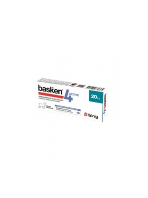 Basken