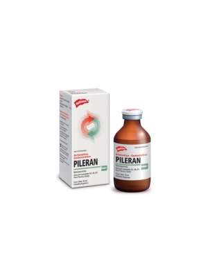 Pileran