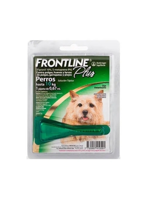 Frontline