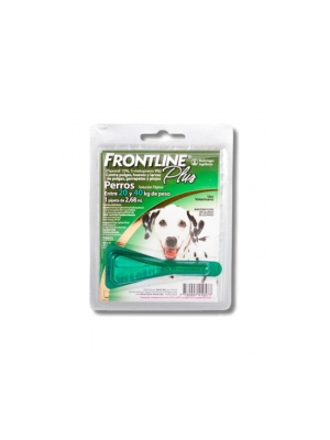 Frontline