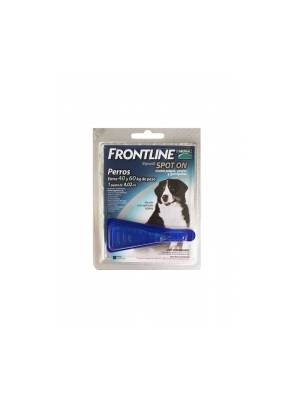 Frontline