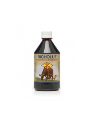 Bicholuz