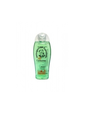 Shampoo