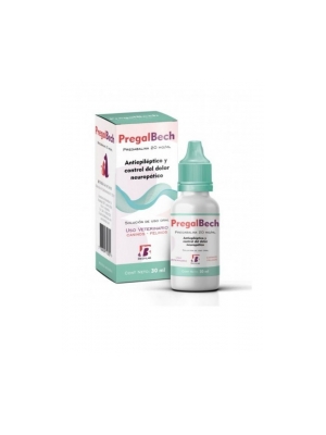 Pregalbech