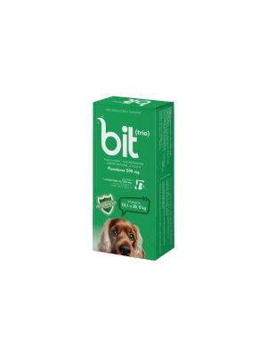 Bit