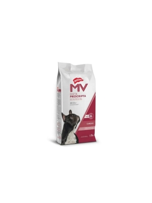 Mv