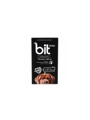 Bit