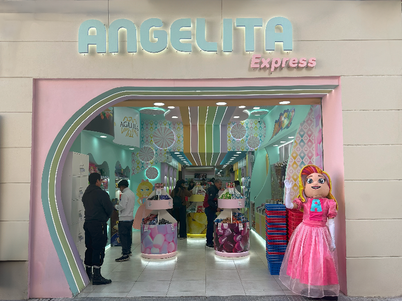 smart clean - Florida